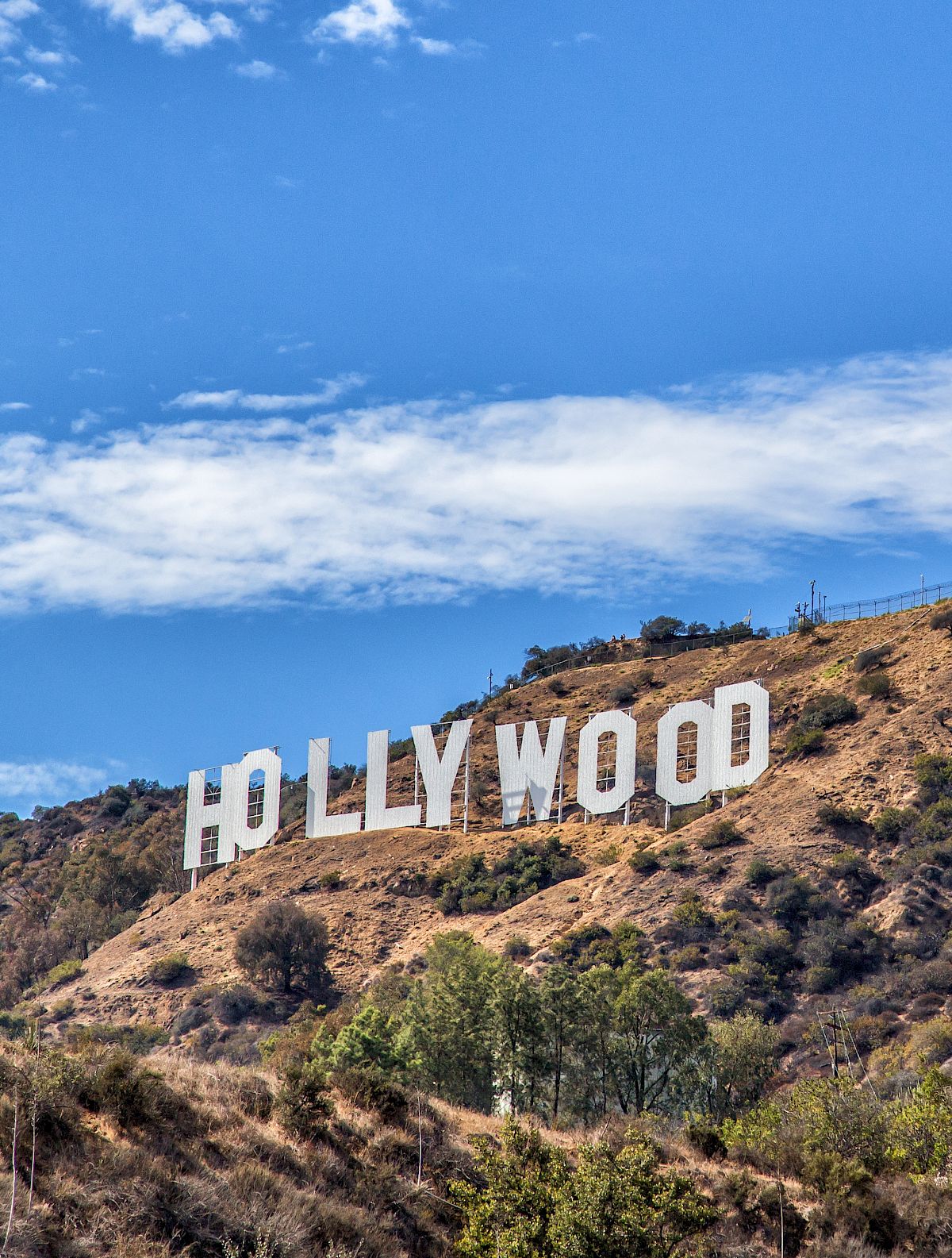 Hollywood sign HD wallpapers free download  Wallpaperbetter